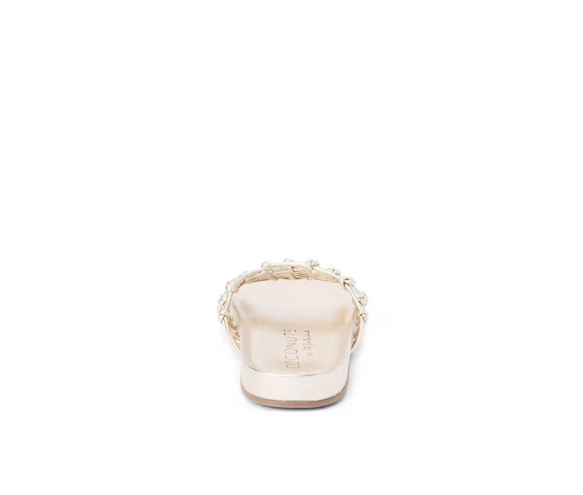 Coconuts by Matisse Harvey Women&