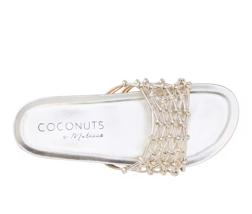 Coconuts by Matisse Harvey Women&