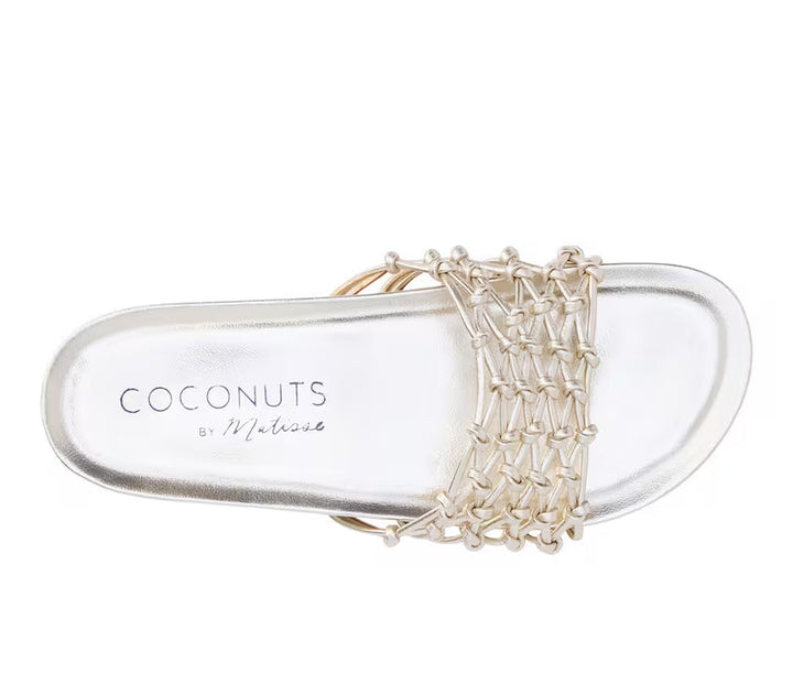 Coconuts by Matisse Harvey Women&