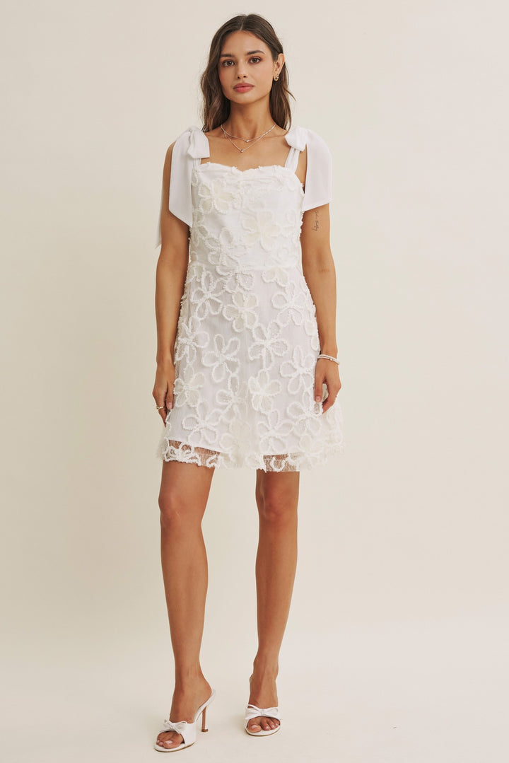 Paris Evening Lace Floral Embroidery Mini Dress