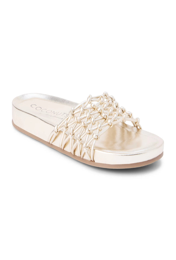 Coconuts by Matisse Harvey Women&
