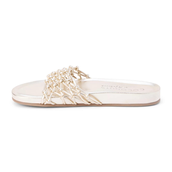 Coconuts by Matisse Harvey Women&