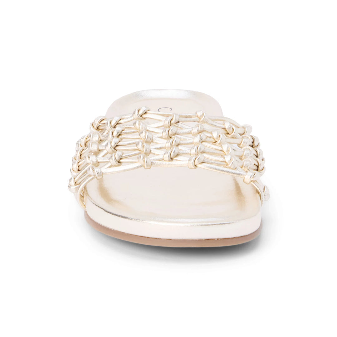 Coconuts by Matisse Harvey Women&