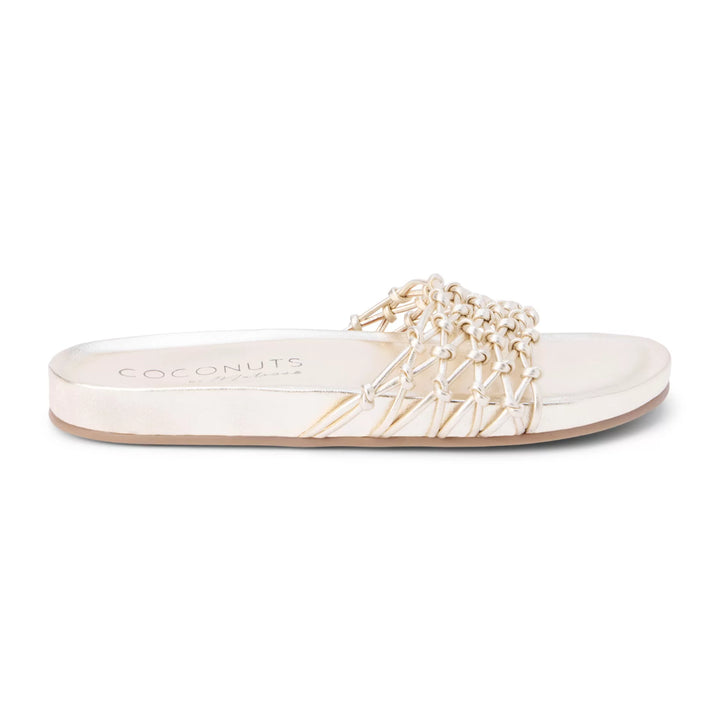 Coconuts by Matisse Harvey Women&