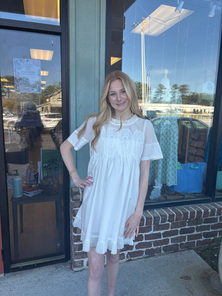 Storybook Lace Applique Dress