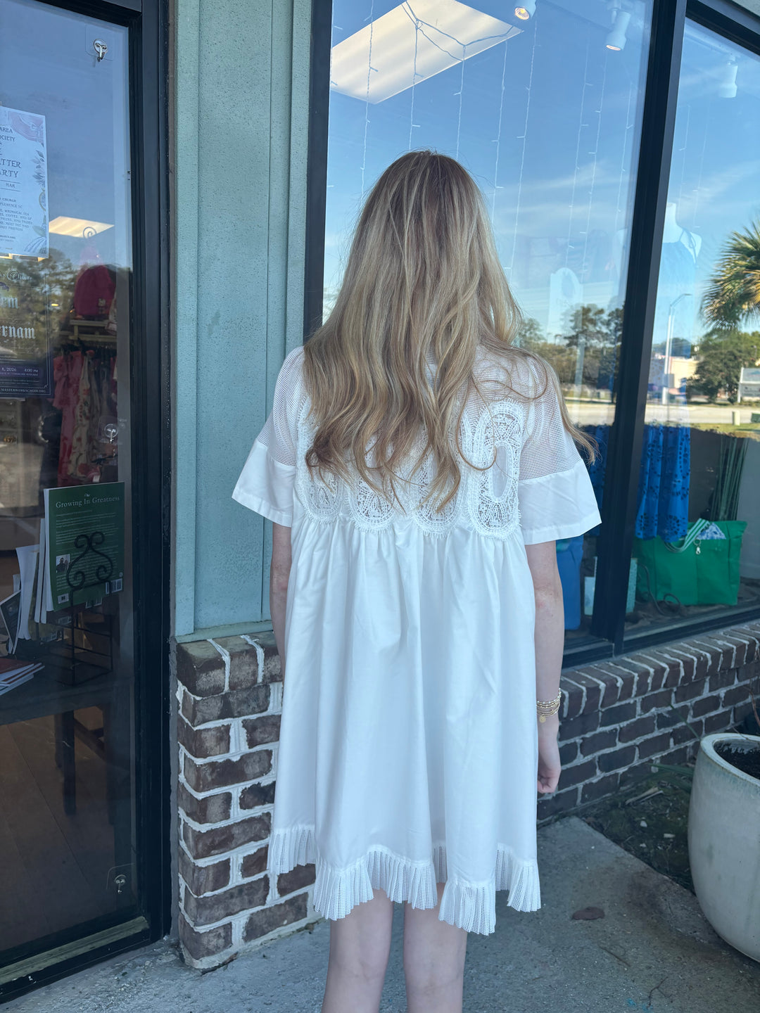 Storybook Lace Applique Dress