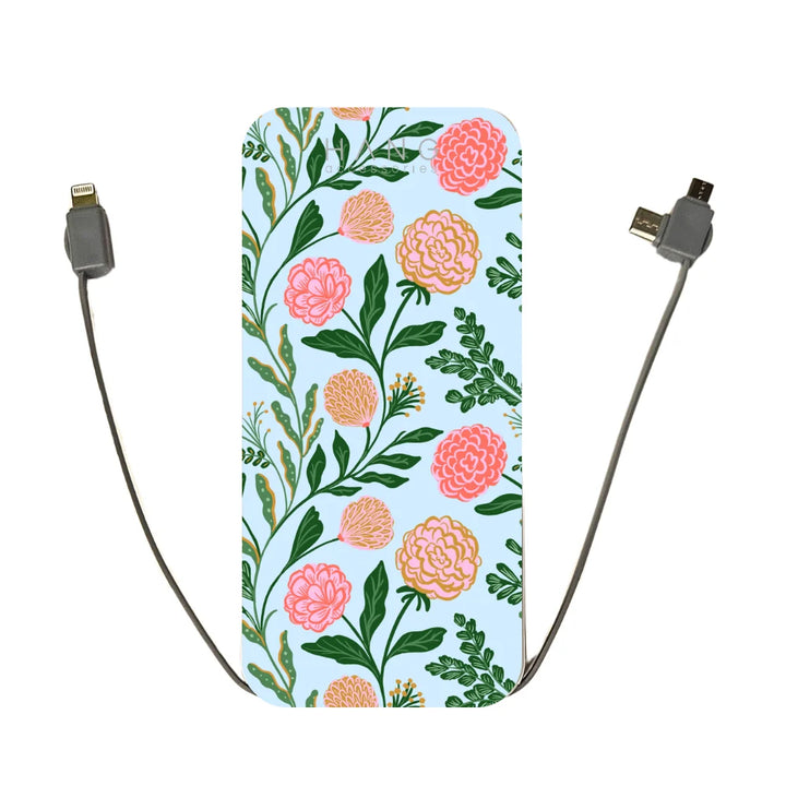 Portable Charging Banks