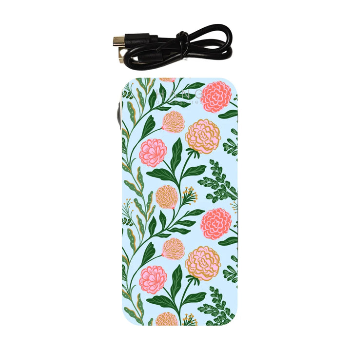 Portable Charging Banks