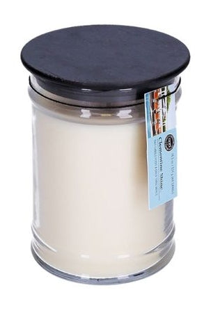 Clementine Shine Small Jar Candle 8.8oz
