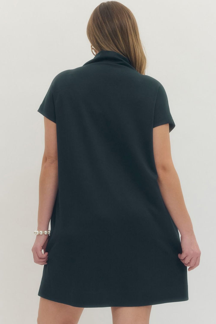 Simply Blissful Dress, CURVY