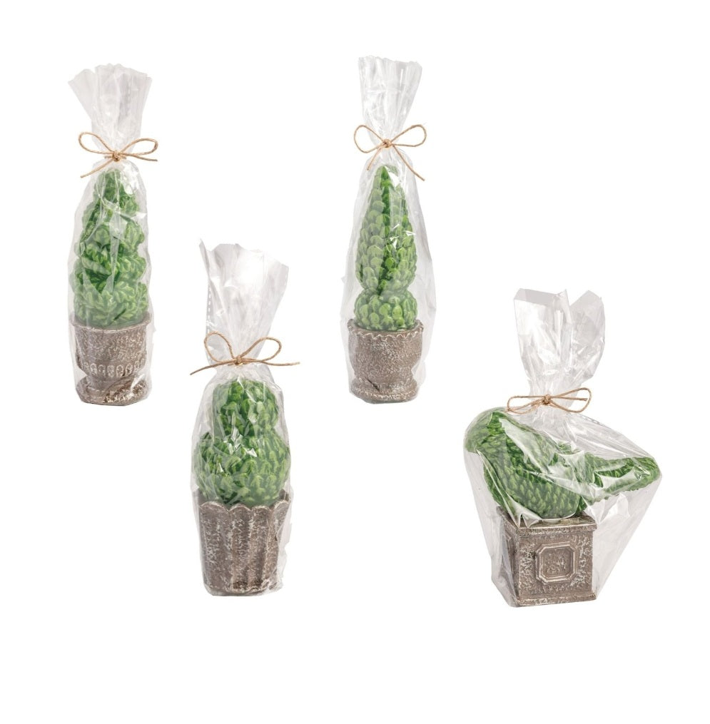 Mud Pie Topiary Candle
