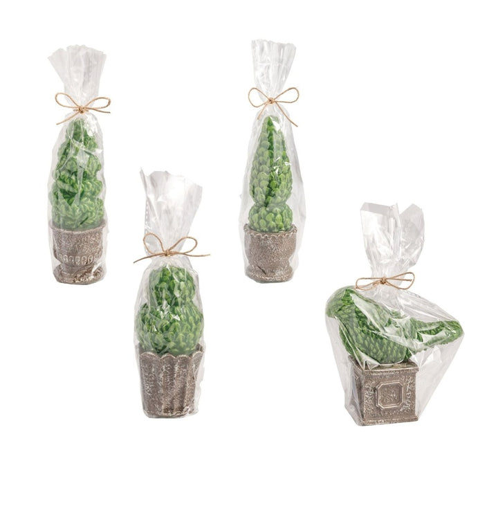 Mud Pie Topiary Candle
