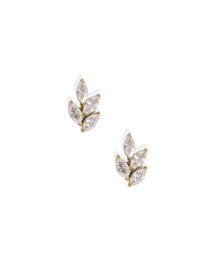 Linny Co Screwback Stud Earrings - Laurel Gold