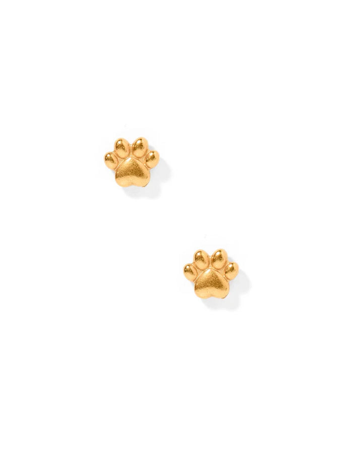 Linny Co Screwback Stud Earrings - Paw Print CZ Gold