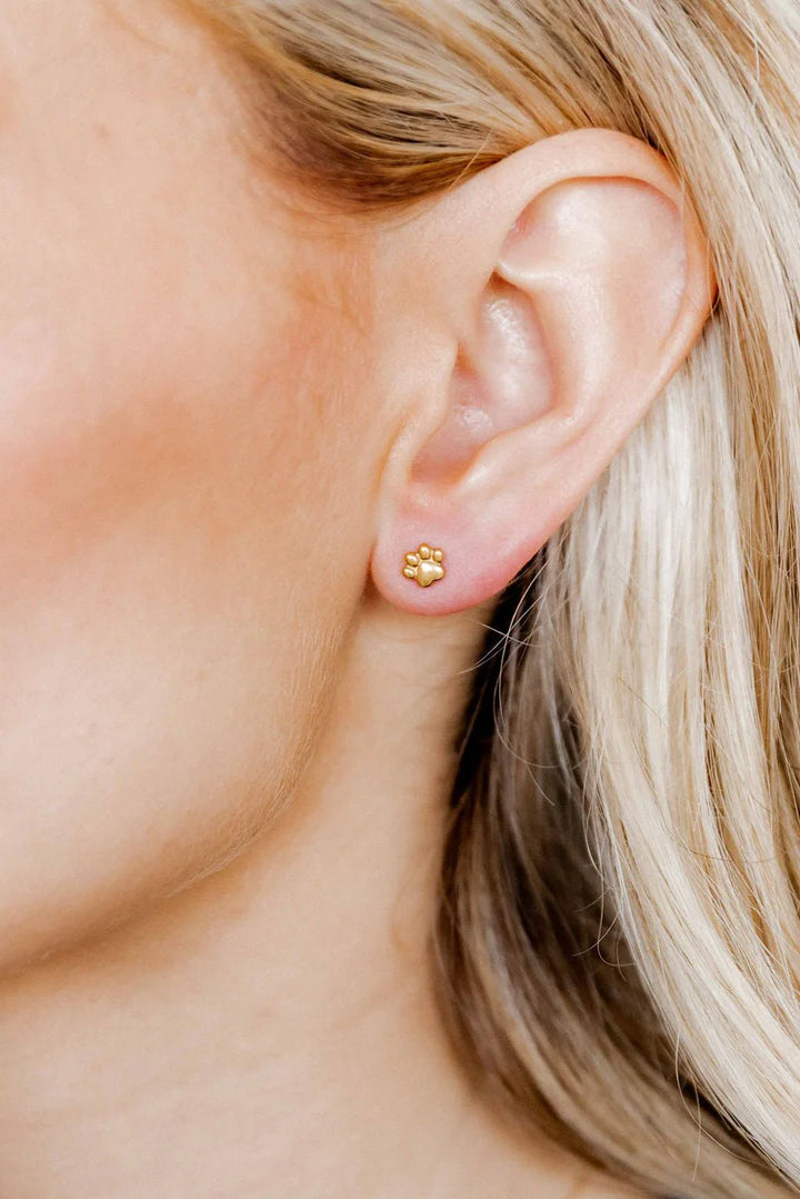Linny Co Screwback Stud Earrings - Paw Print CZ Gold